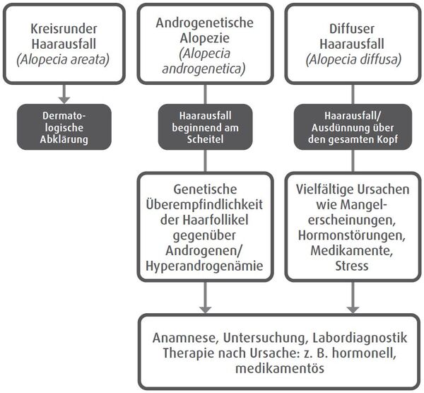 Erscheinungsformen des Haarausfalls